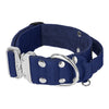 Szeroka obroża z klamrą extreme - Extreme Silver Buckle Navy Blue