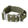 Szeroka obroża z klamrą extreme - Extreme Silver Buckle Khaki