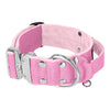 Szeroka obroża z klamrą extreme - Extreme Silver Buckle Baby Pink