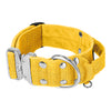 Szeroka obroża z klamrą extreme - Extreme Silver Buckle Żółta