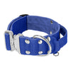 Szeroka obroża z klamrą extreme - Extreme Silver Buckle Blue