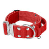 Szeroka obroża z klamrą extreme - Extreme Silver Buckle Czerwona