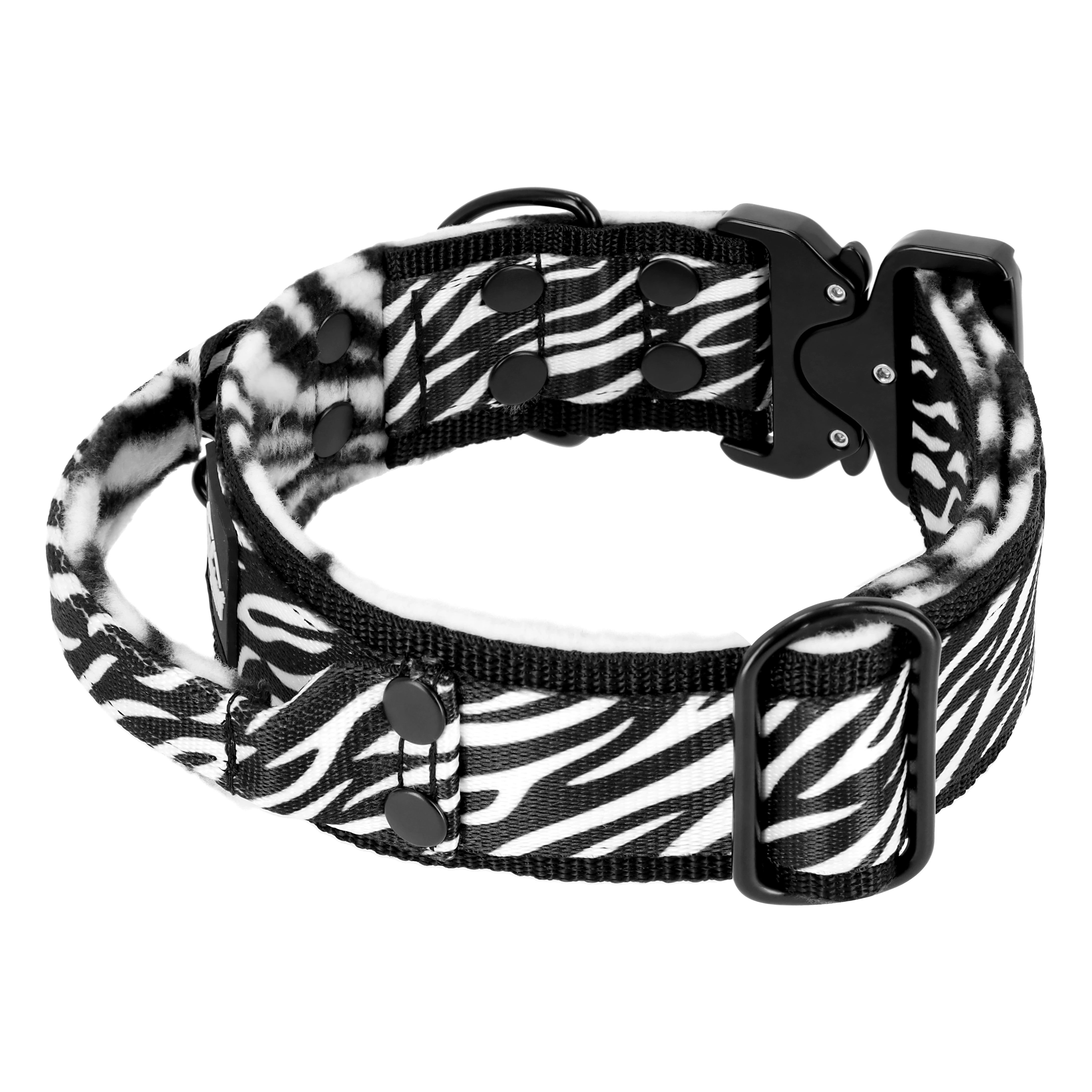 Szeroka obroża z klamrą extreme - Extreme Buckle Zebra