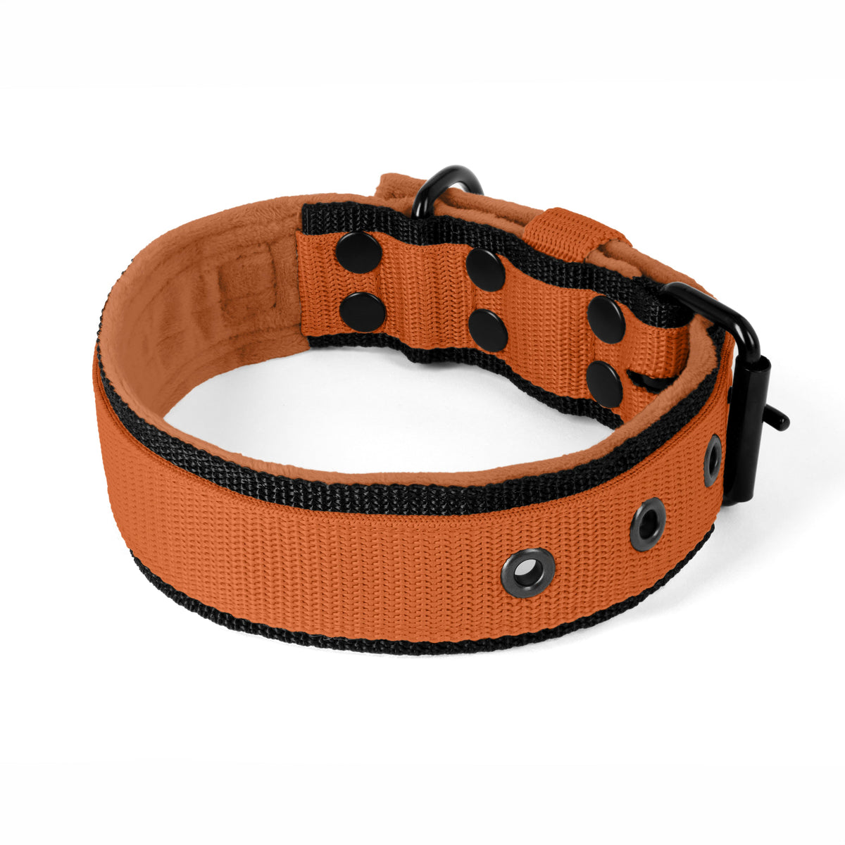 Active Black Edition Burned Orange