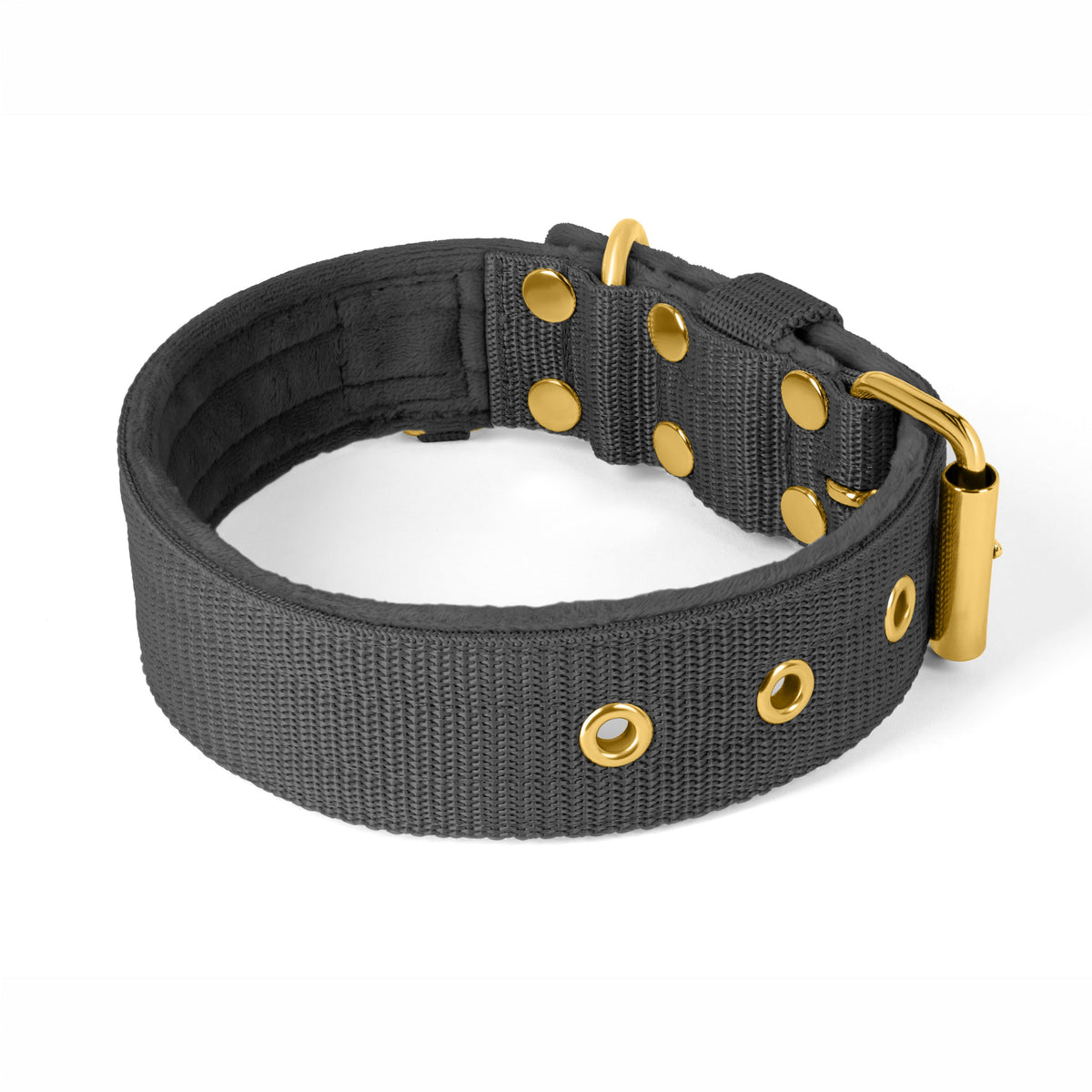 Active Gold Edition Dark Grey