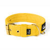 Active Gold Edition Yellow