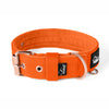 Active Rose Edition Orange