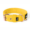 Active Rose Edition Yellow