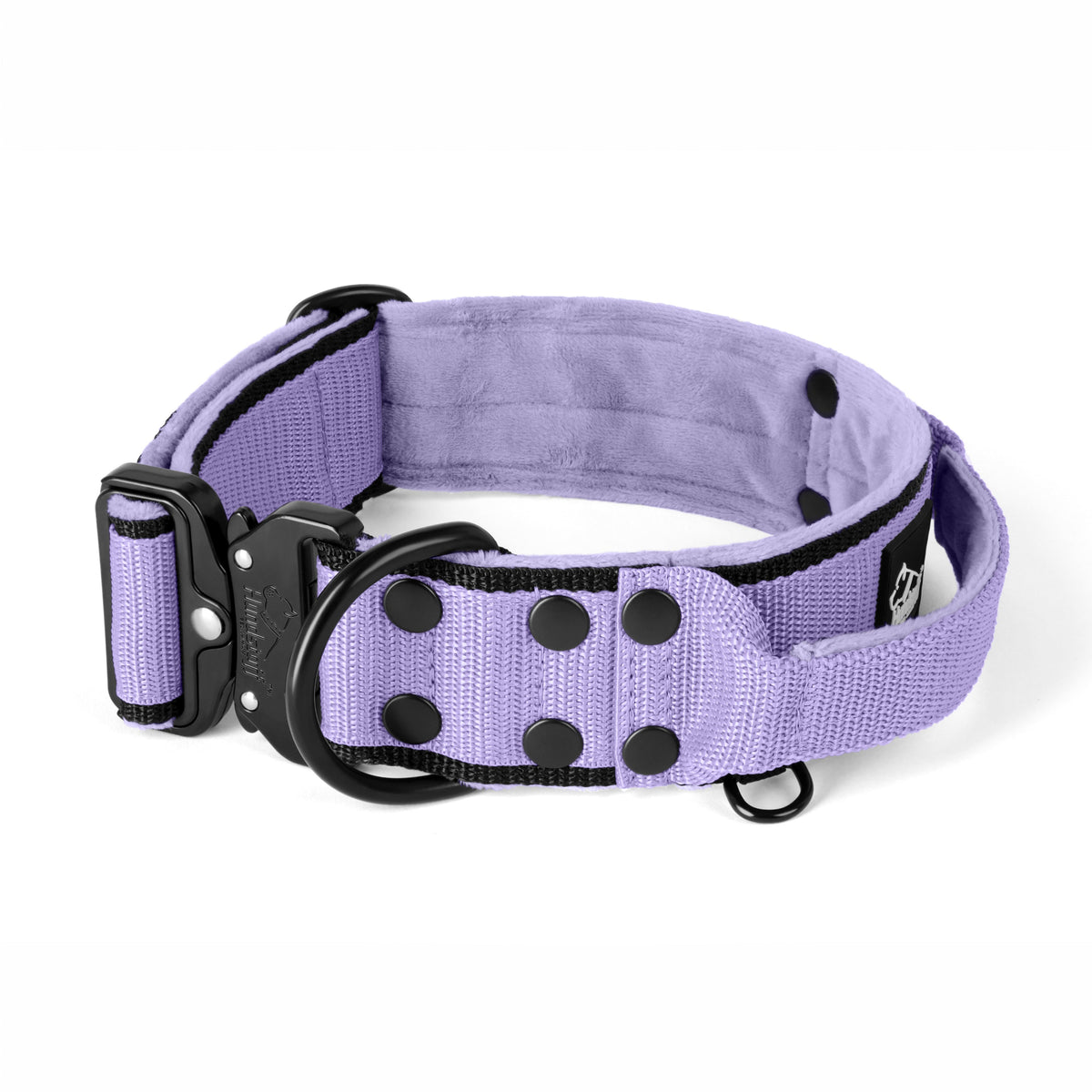 Extreme Buckle Black Edition Baby Purple