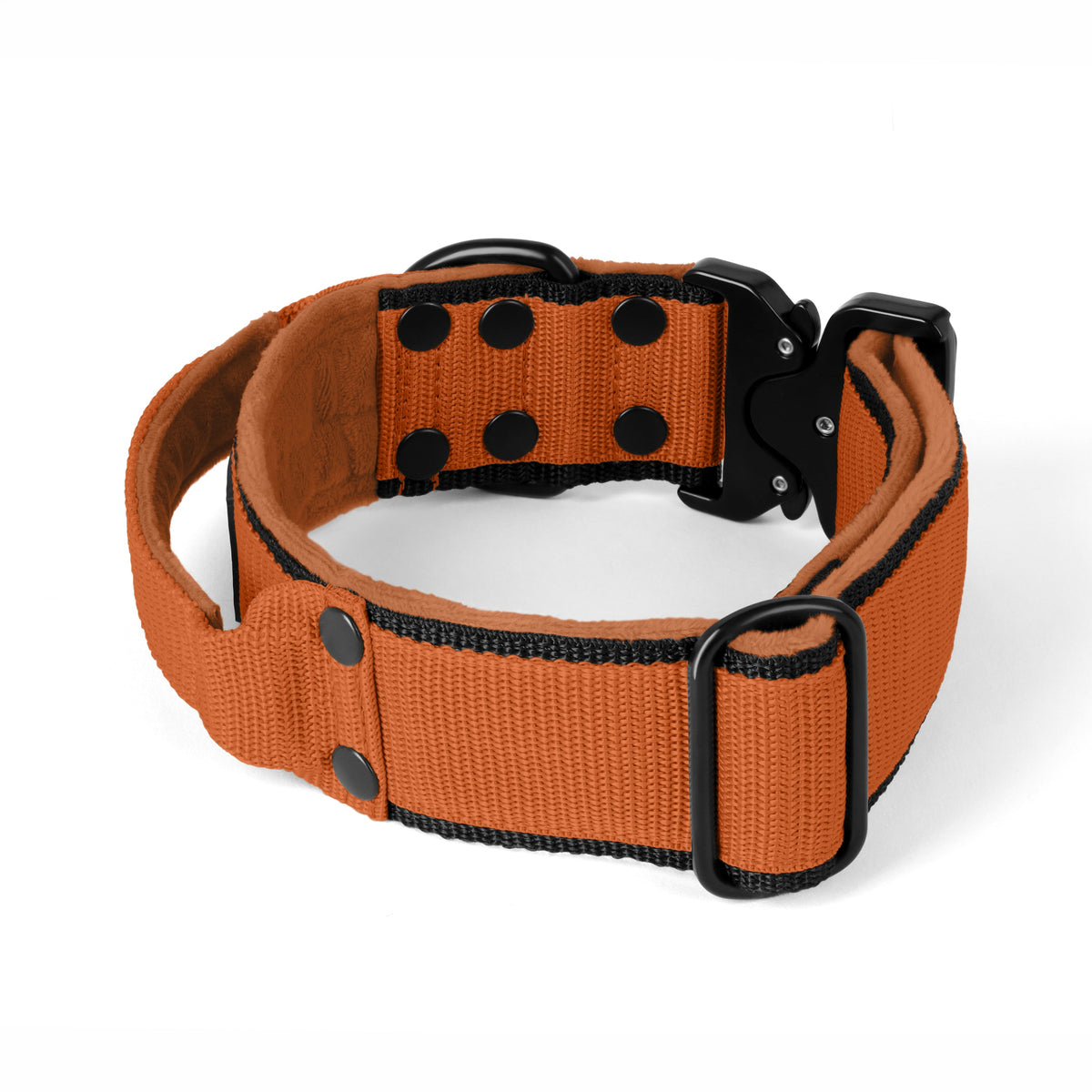 Extreme Buckle Black Edition Burned Orange