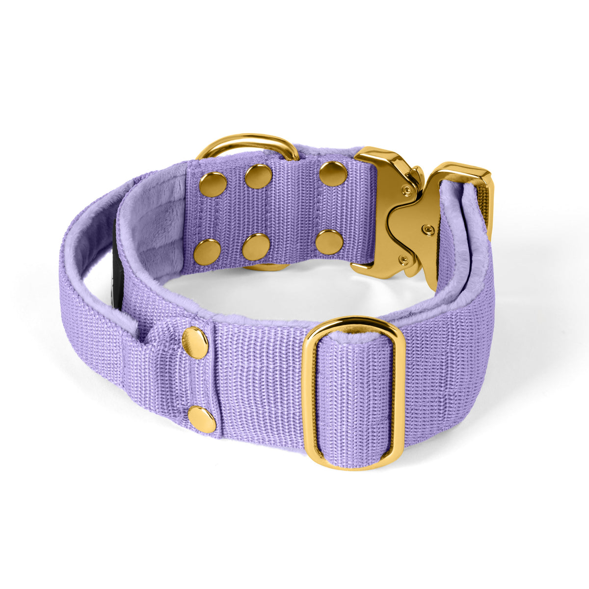 Extreme Buckle Gold Edition Baby Purple