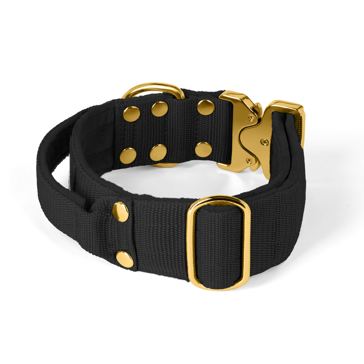 Extreme Buckle Gold Edition Black