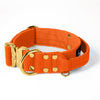 Extreme Buckle Gold Edition Orange