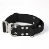 Extreme Buckle Silver Edition Black