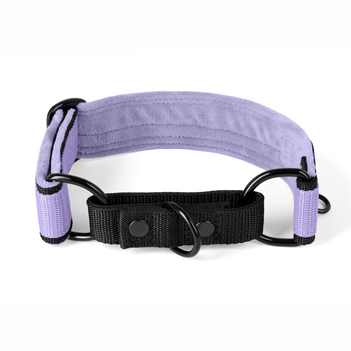 Martingale Black Edition Baby Purple
