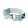 Martingale Gold Edition Baby Blue