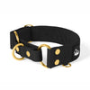 Martingale Gold Edition Black