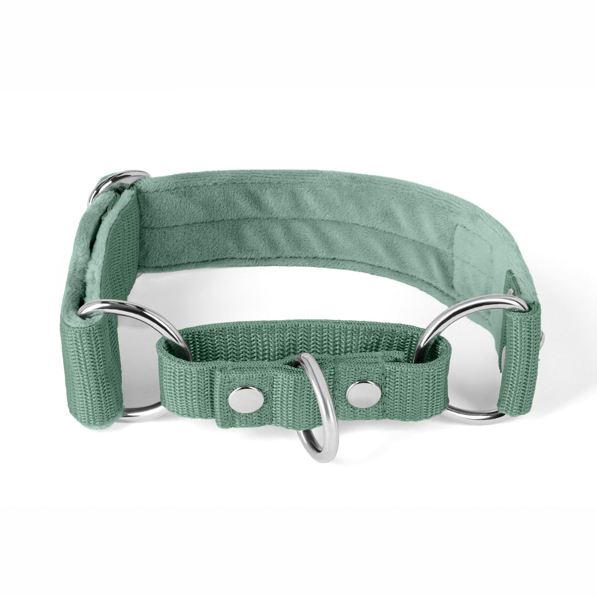 Martingale Silver Edition Mint