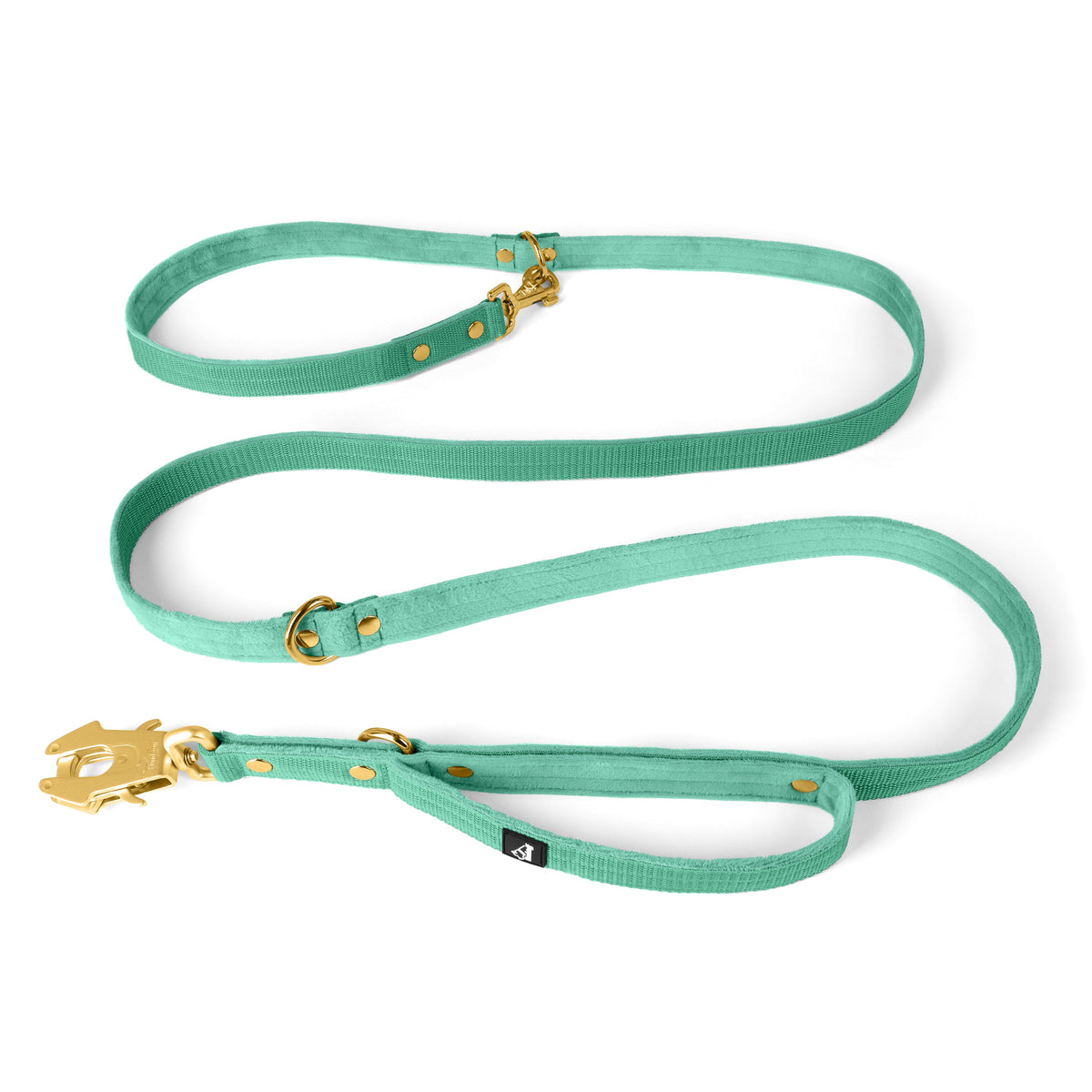 Multi Guard Leash Gold Edition Mint