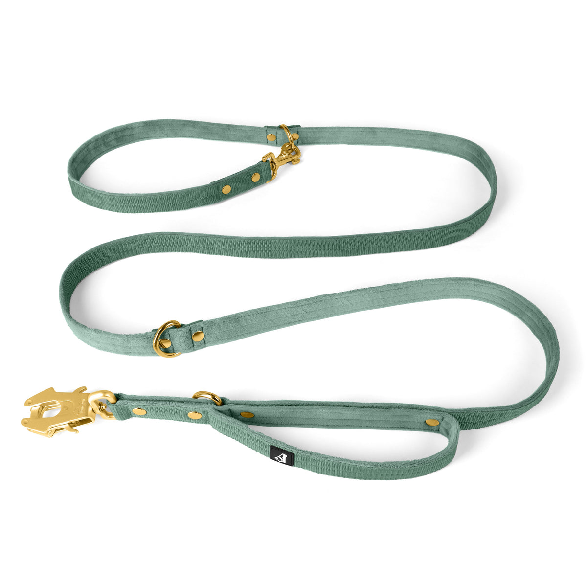 Multi Guard Leash Gold Edition Pastel Green