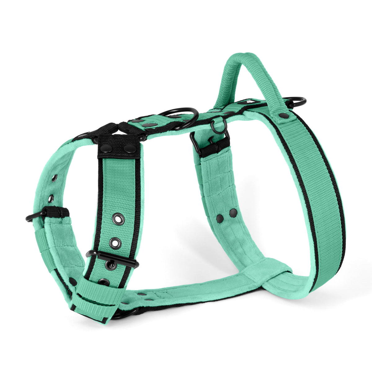 Easy Walk Black Edition Mint