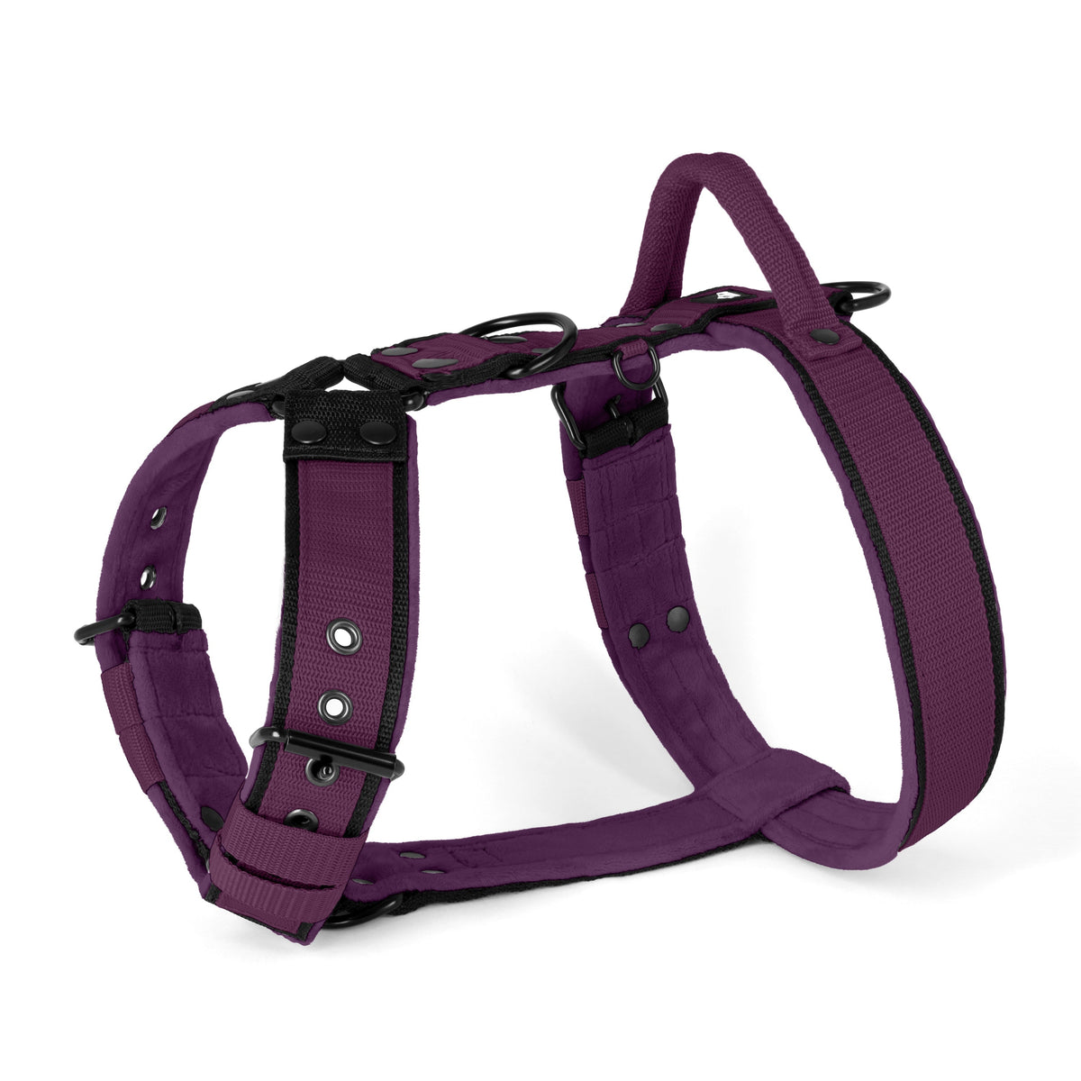 Easy Walk Black Edition Plum