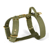 Easy Walk Gold Edition Olive Green