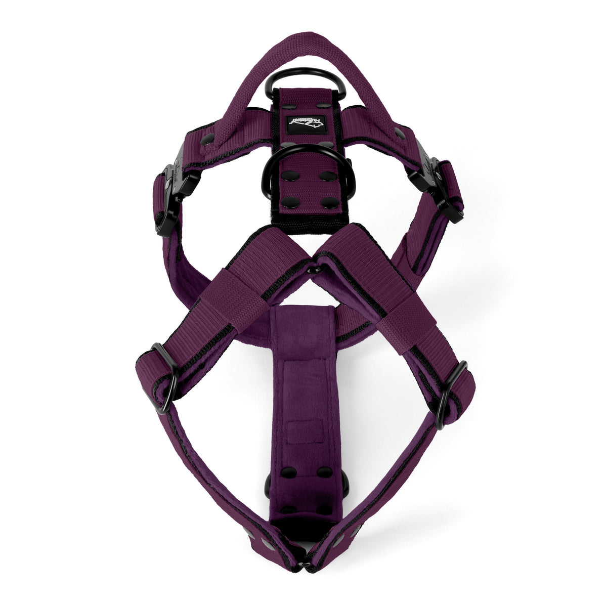 Easy Walk Extreme Black Edition Plum