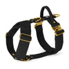 Easy Walk Extreme Gold Edition Black