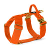 Easy Walk Extreme Gold Edition Orange