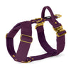 Easy Walk Extreme Gold Edition Plum