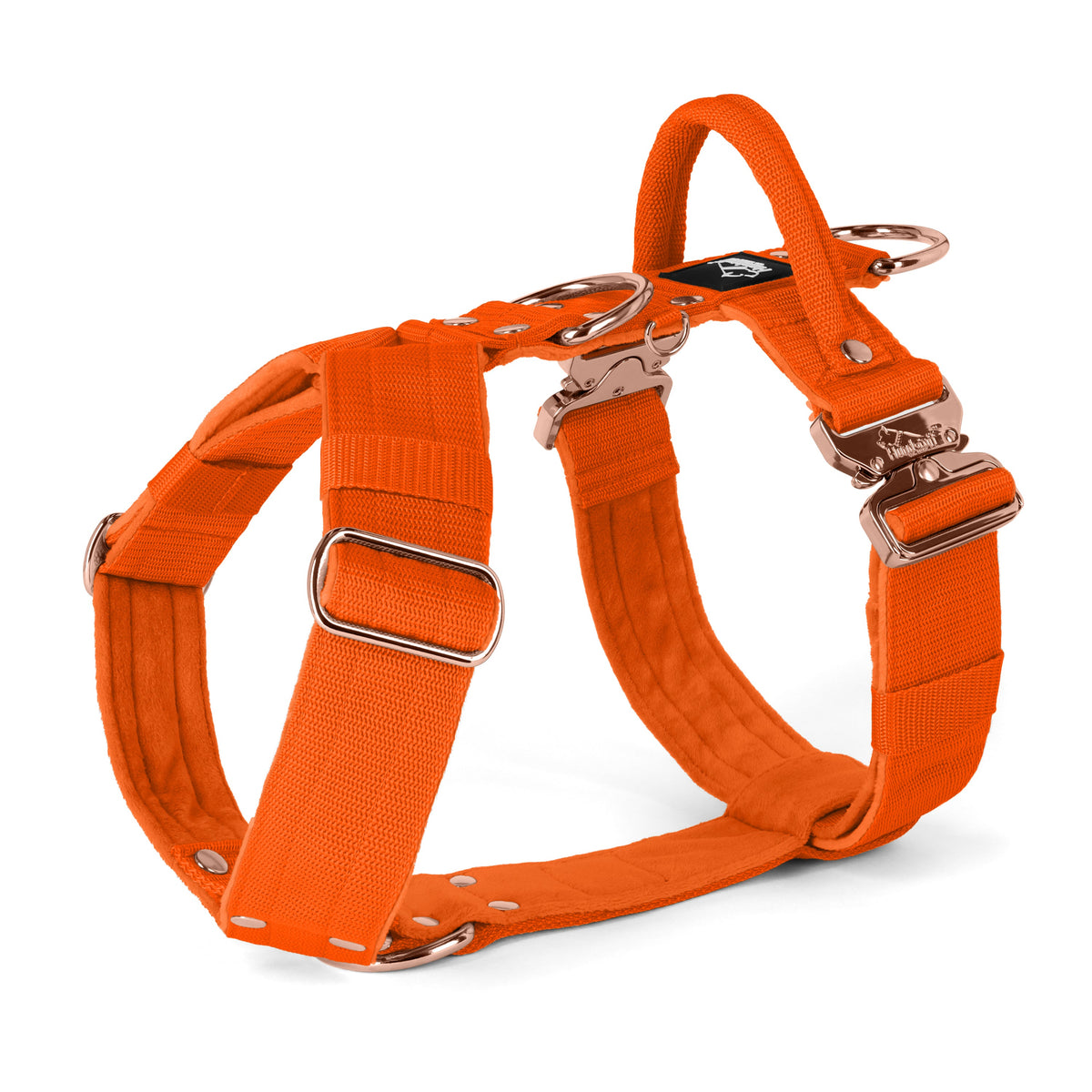 Easy Walk Extreme Rose Edition Orange