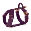 Easy Walk Extreme Rose Edition Plum